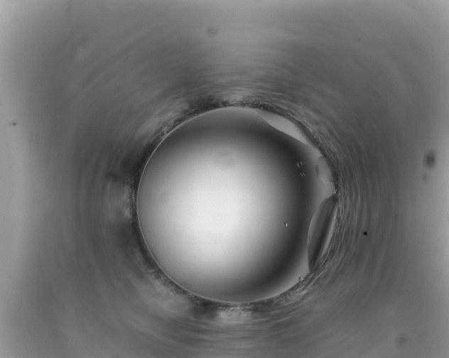 X0000092020470200709131601