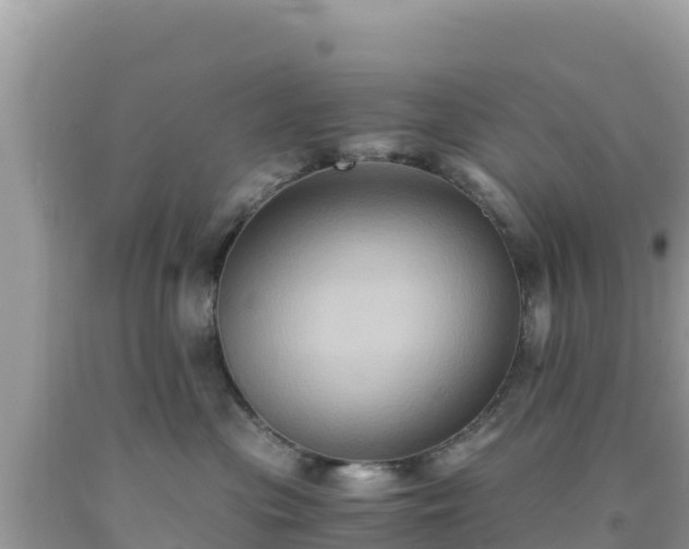 X0000092020477200709131601