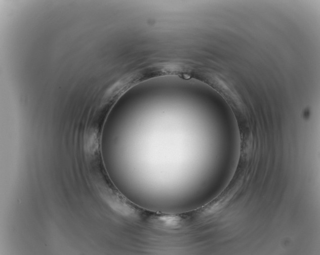X0000092020478200709131601