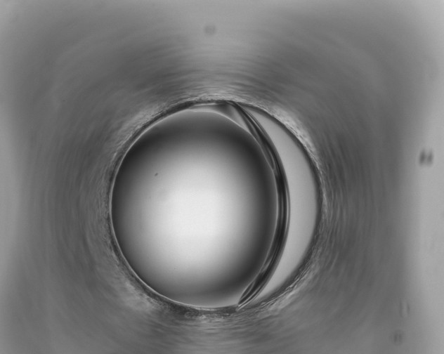 X0000092020481200709131600