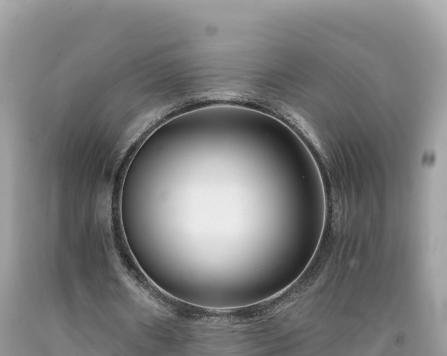 X0000092020482200709131600