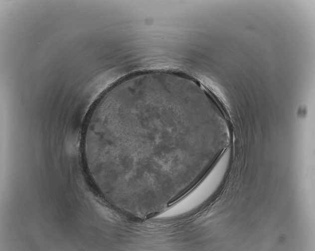X0000092020483200709131600