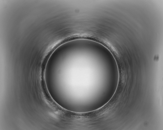 X0000092020486200709131600