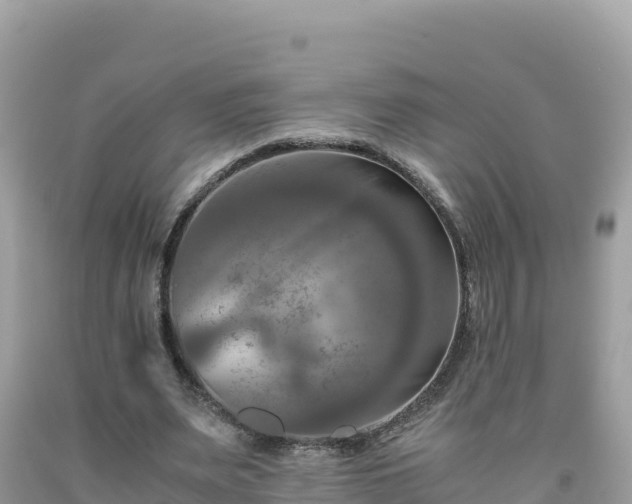 X0000092020487200709131600