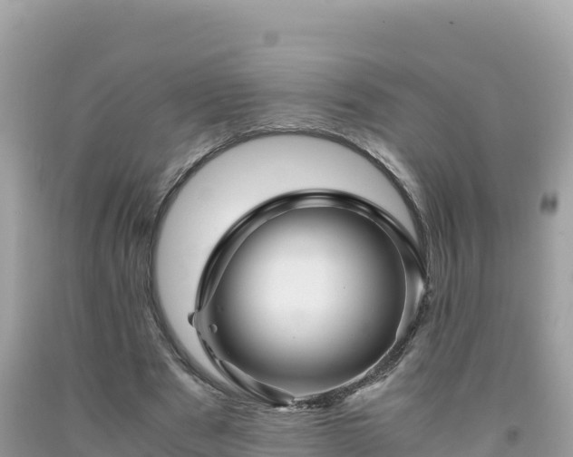 X0000092020489200709131600