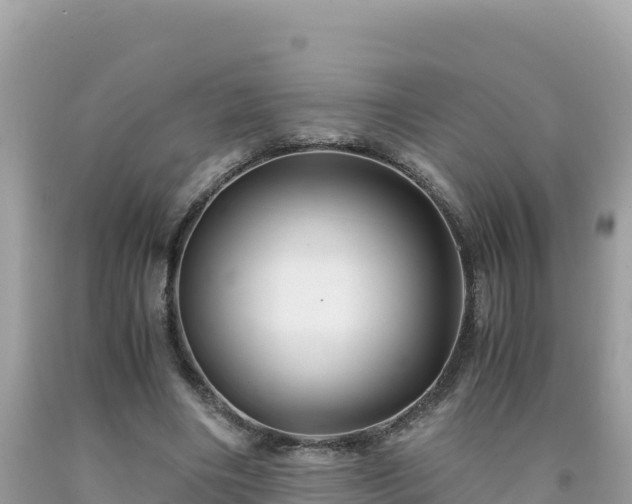 X0000092020490200709131600