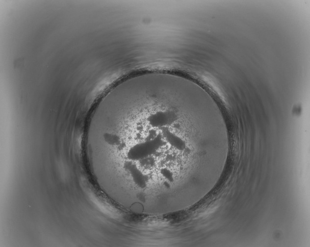 X0000092020491200709131600