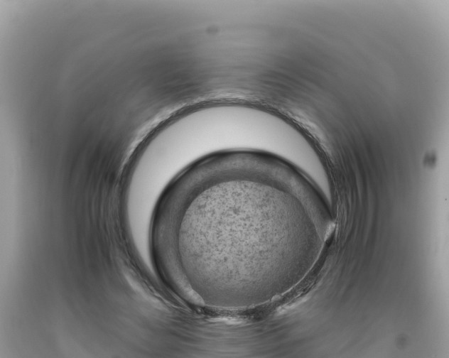 X0000092020492200709131600