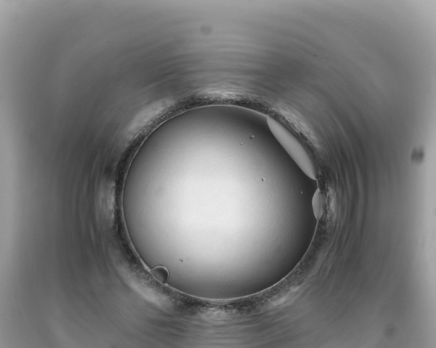 X0000092020494200709131600