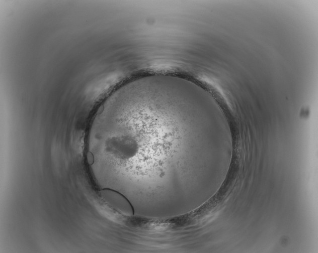 X0000092020495200709131600