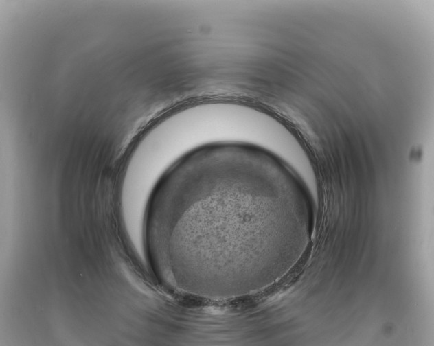 X0000092020496200709131600
