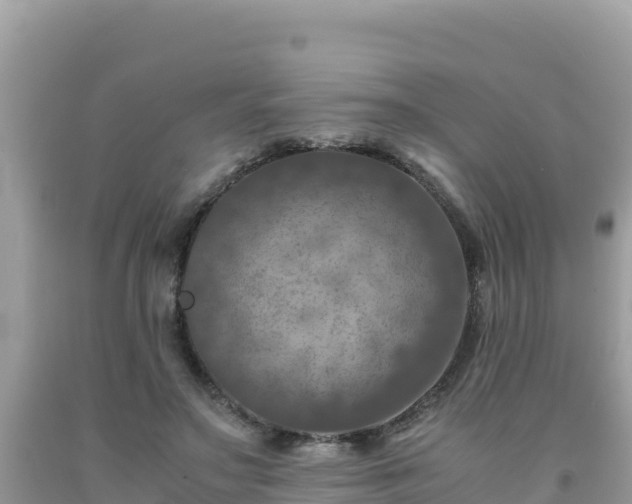 X0000092020499200709131600