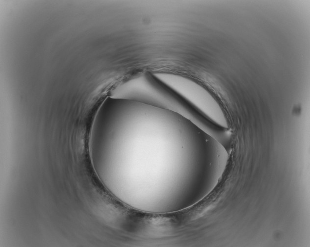 X0000092020501200709131600