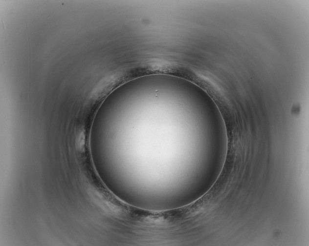 X0000092020502200709131600