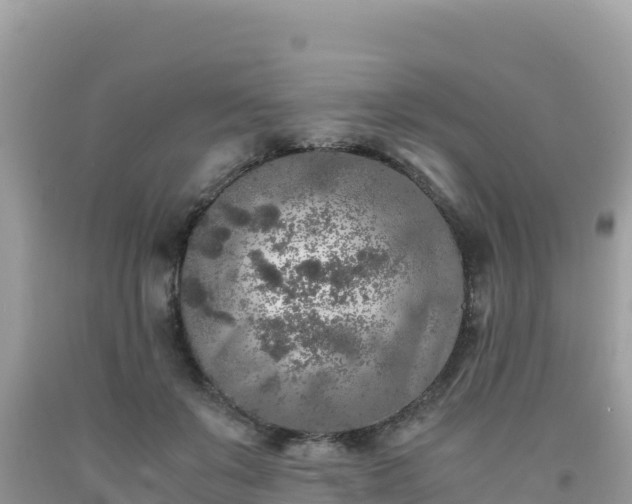 X0000092020503200709131600