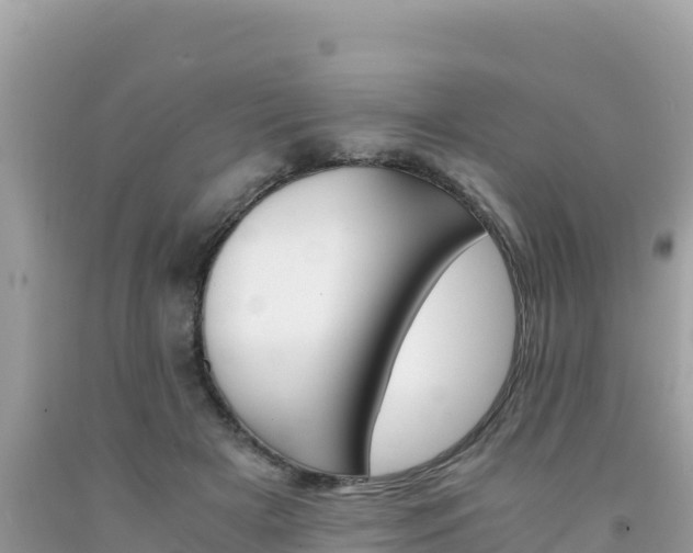 X0000092020505200709131600