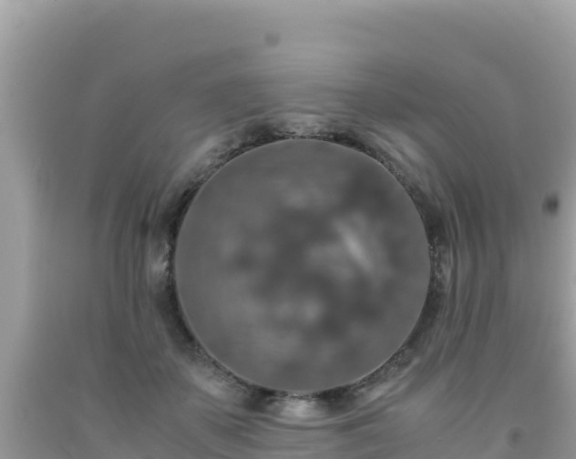 X0000092020507200709131600