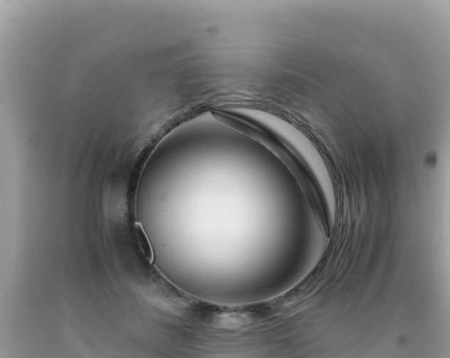 X0000092020508200709131600