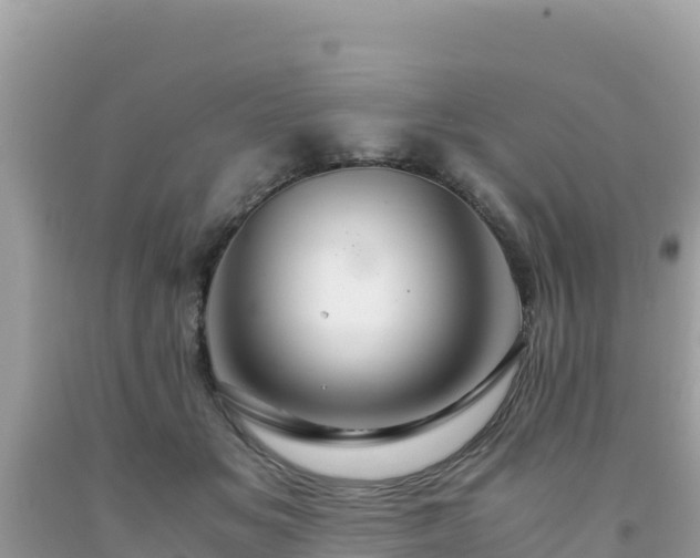 X0000092020509200709131600