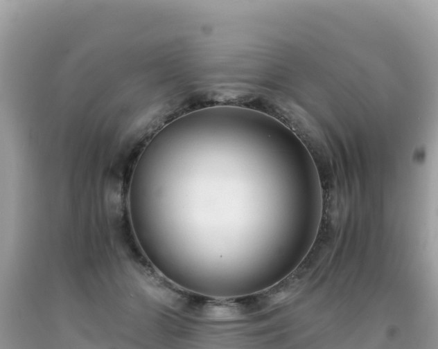 X0000092020510200709131600