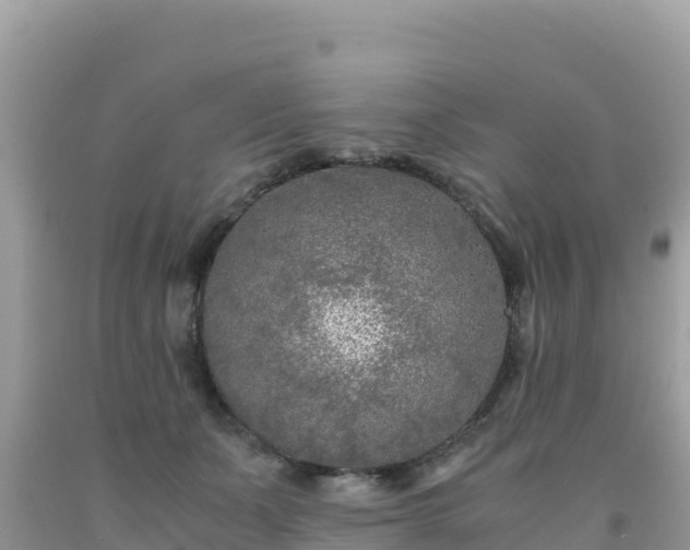 X0000092020511200709131600