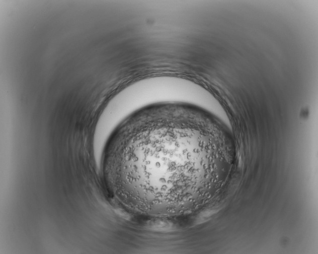 X0000092020512200709131600