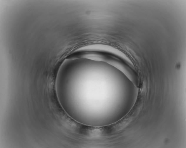 X0000092020513200709131600