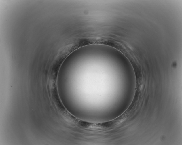 X0000092020515200709131600