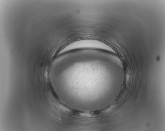 X0000092020516200709131600