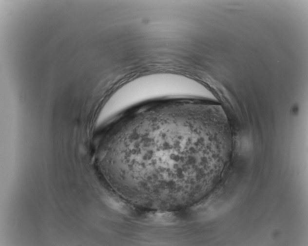 X0000092020517200709131600