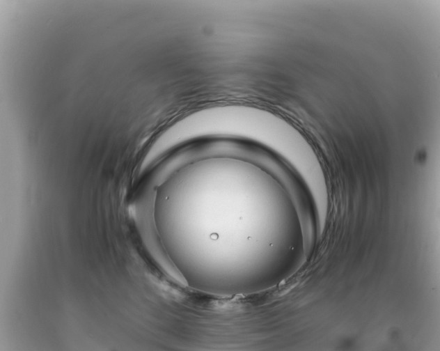 X0000092020520200709131600