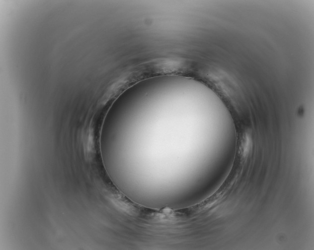 X0000092020524200709131559