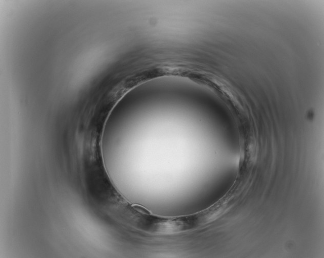 X0000092020525200709131559
