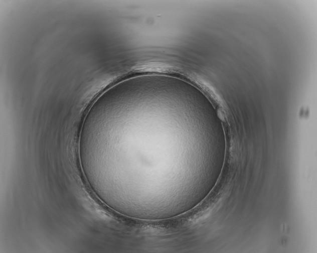 X0000092020529200709131558