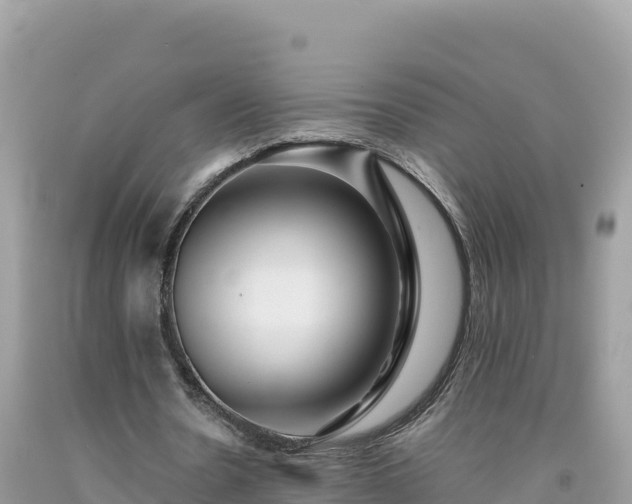 X0000092020530200709131558