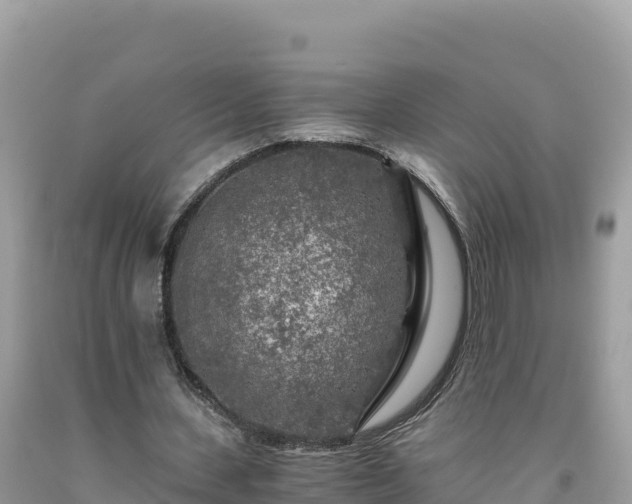 X0000092020531200709131559