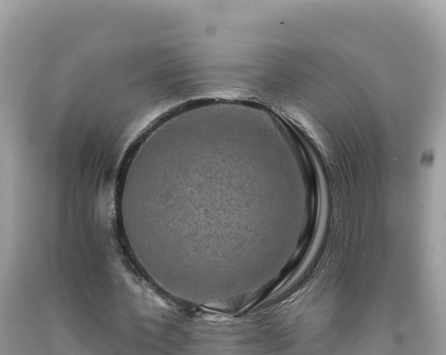X0000092020532200709131559