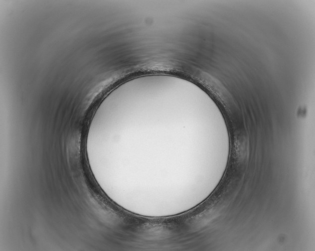 X0000092020534200709131559