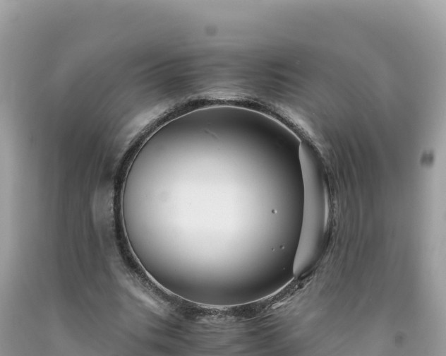 X0000092020535200709131559