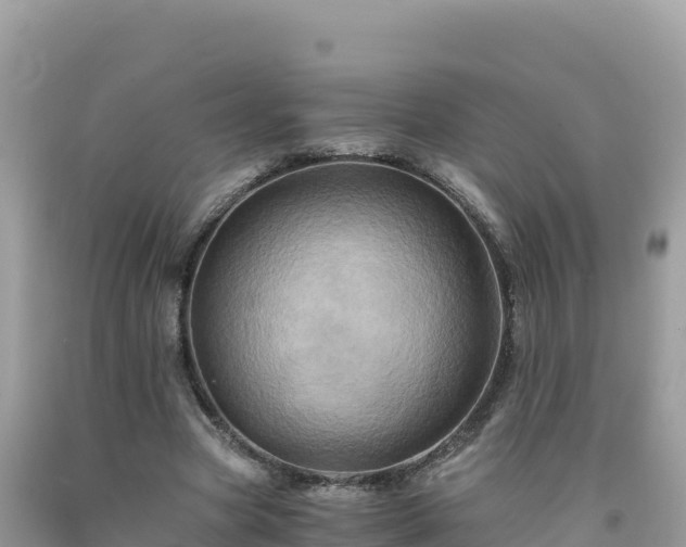 X0000092020537200709131559