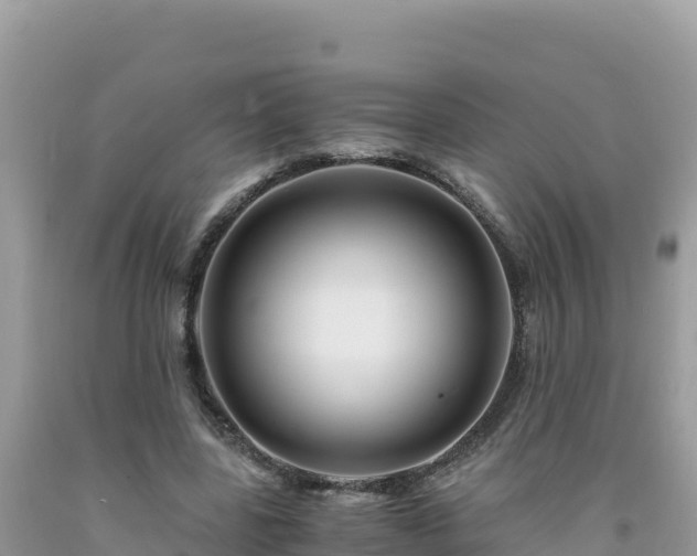 X0000092020539200709131559