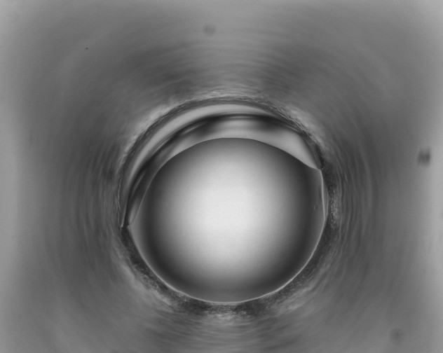 X0000092020540200709131559