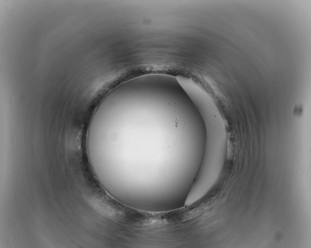 X0000092020543200709131559