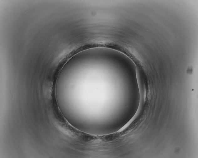 X0000092020544200709131559