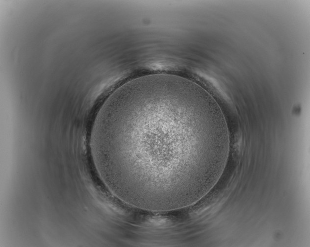 X0000092020547200709131559