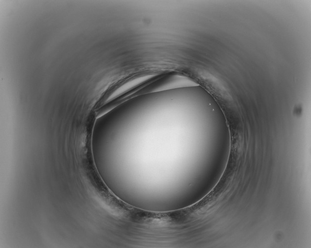 X0000092020548200709131559