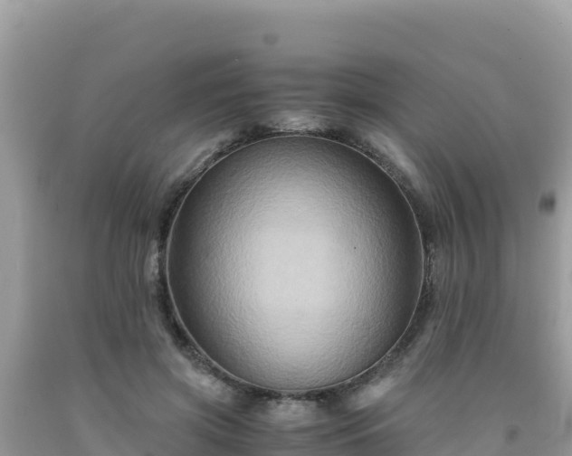 X0000092020549200709131559