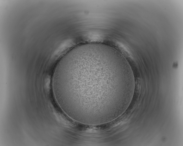 X0000092020550200709131559
