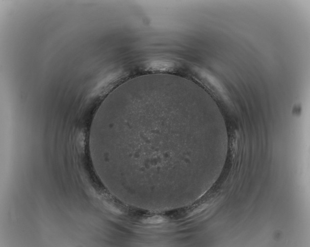 X0000092020551200709131559