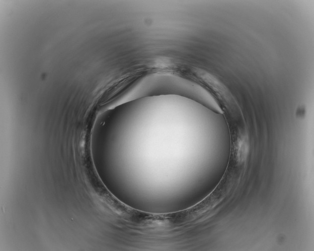 X0000092020552200709131559